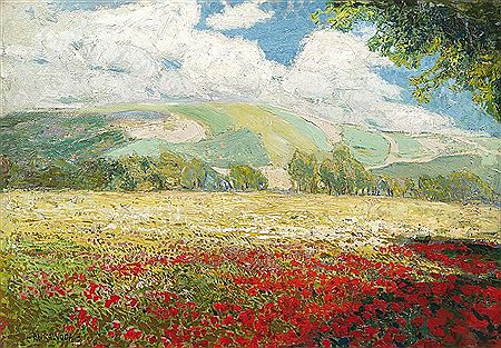 Poppies