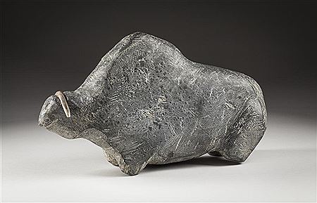Muskox