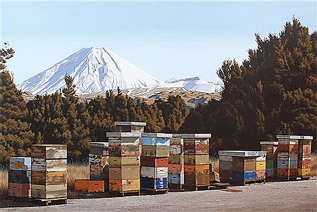 Ngauruhoe