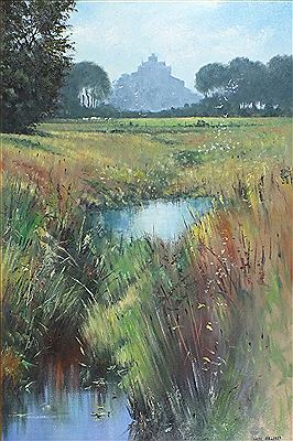 ‘Cornish wetlands St Michaels Mount’