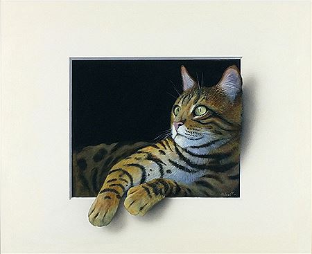 ‘Tiger’ – a relaxing cat