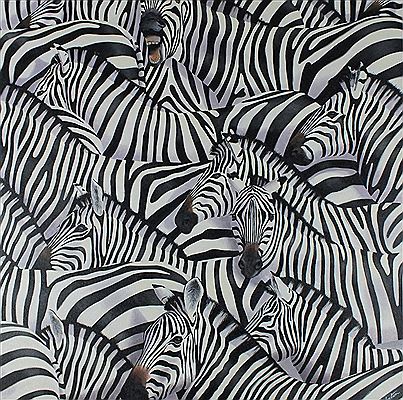 'Zebra's II'
