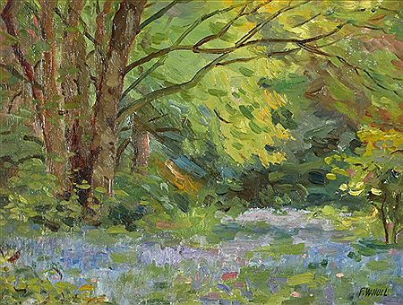 BLUEBELLS IN BELVOIR PARK [BELFAST]