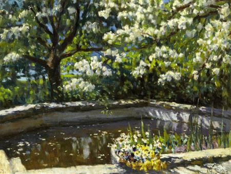 Mai - Blüten - Traum
