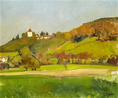Sommerlandschaft mit Blick auf Schloss Heidegg
