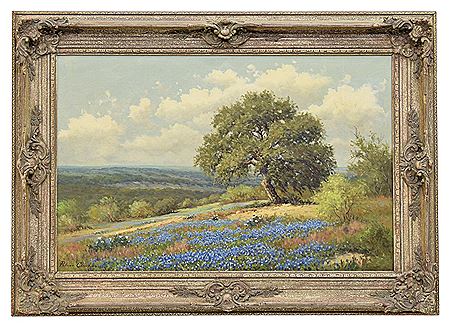 Bluebonnets