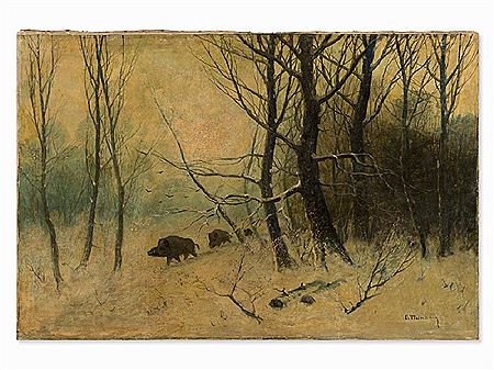 Boars