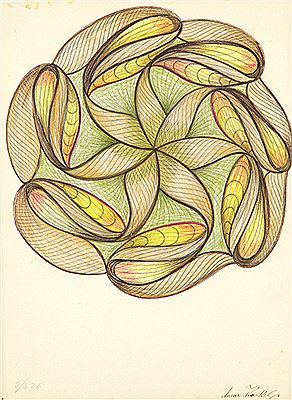Drawing