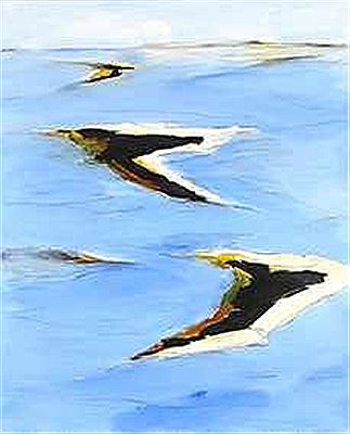 Abstrakte Komposition.- Inseln by Puck Steinbrecher - Auction record, sale price, and art valuation. Compare with similar artists and explore comparable artworks.