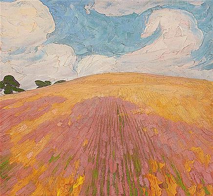 Yellow field with clouds and shadows