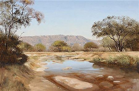 Bushveld valley with river