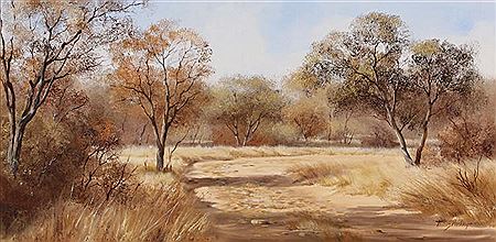 Road through the bushveld