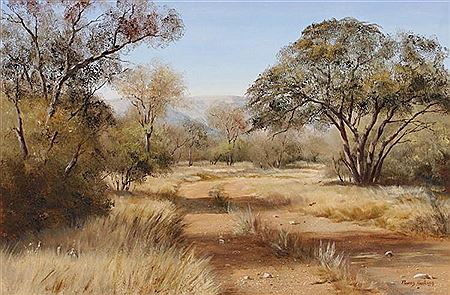 Bushveld road