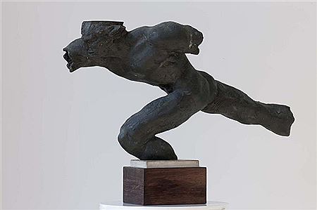 Torso