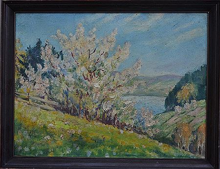 Spring landscape