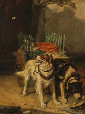 Two dogs drawing a cart