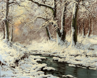 A forest stream in winter