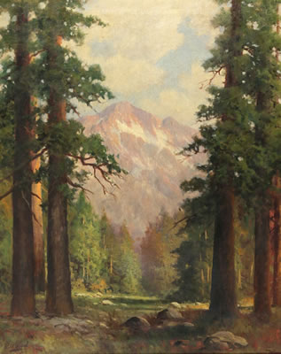 Mountainous Landscape through Redwoods