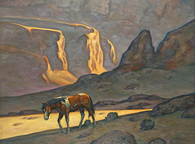 Indian Pony