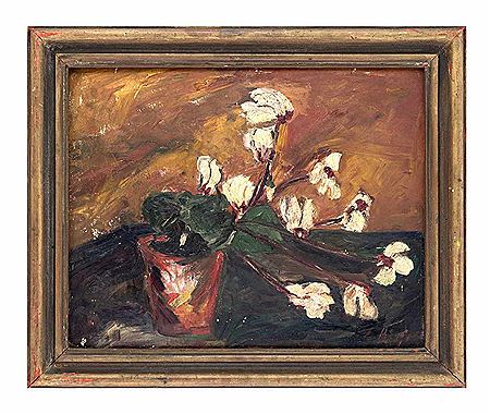 Cyclamen
