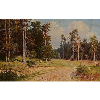 Road Through the Forest