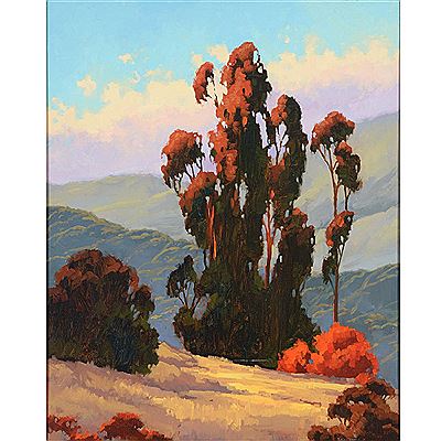 Woodside CA