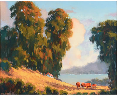 "Grazing by the Bay, Belevedere Island"