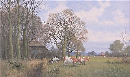 COWS GRAZING