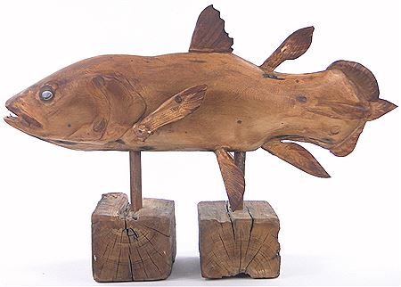 Coelacanth
