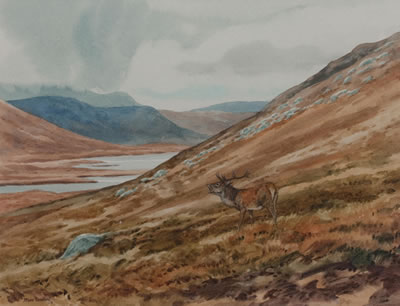 Stag in a highland landscape by Brian Rawling - Auction record, sale price, and art valuation. Compare with similar artists and explore comparable artworks.