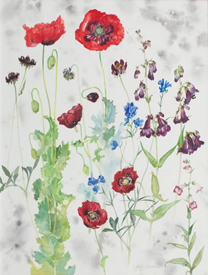Poppies and Delphiniums