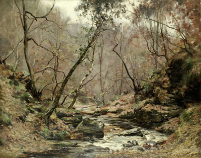 A woodland burn