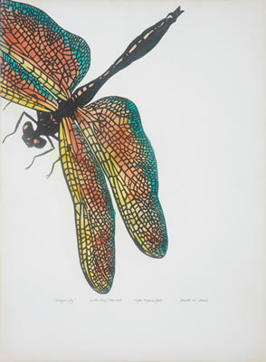 'Dragonfly'