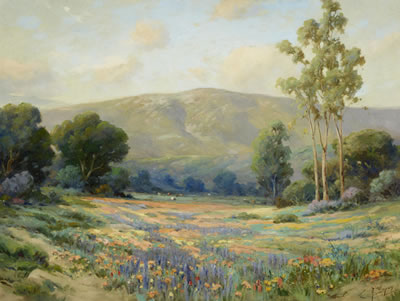 Wildflower Splendor
