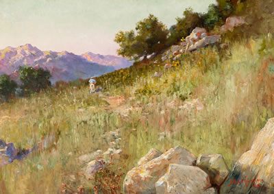 Hills in Sunset
