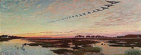 A flock of geese flying across the moore in sunset.