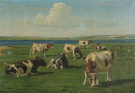 Cows in a field