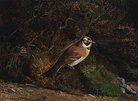 “Bjerglærke” (horned lark) by Niels Peter Rasmussen - Auction record, sale price, and art valuation. Compare with similar artists and explore comparable artworks.