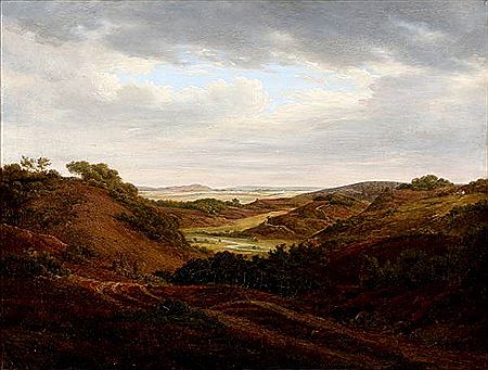 Moor landscape with heather hills