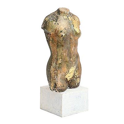 A woman's torso.