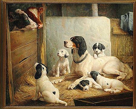 English setter with a litter of puppets in the barn.