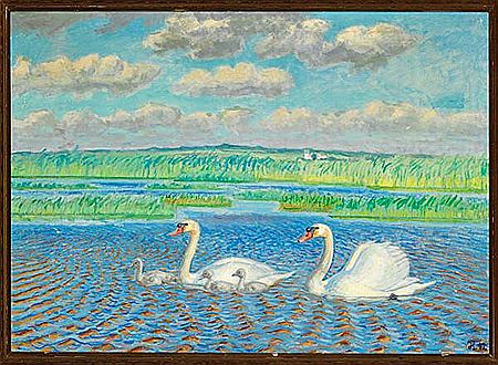 Swans in Filsø.