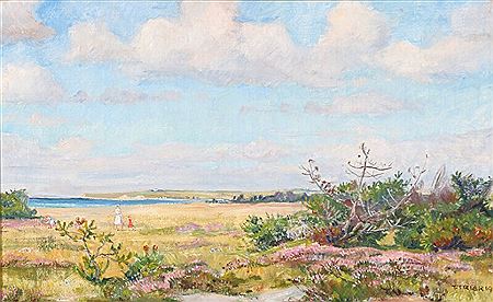 Danish landscape.