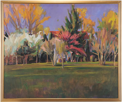 Sun-dappled Lawn