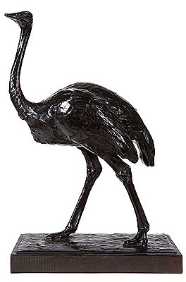 Struisvogel