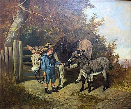 A boy with his donkeys