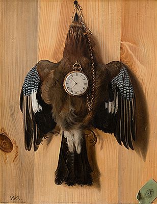 JAYBIRD AS WATCHPILLOW