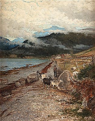 A boy with a heard of goats