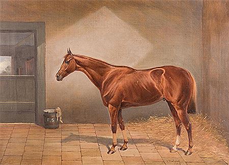 Portrait of a horse in a stable