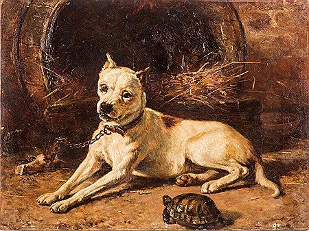 Dog Portrait